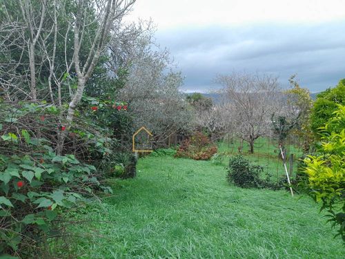 Casa con finca en la zona de Campolongo (6/6)