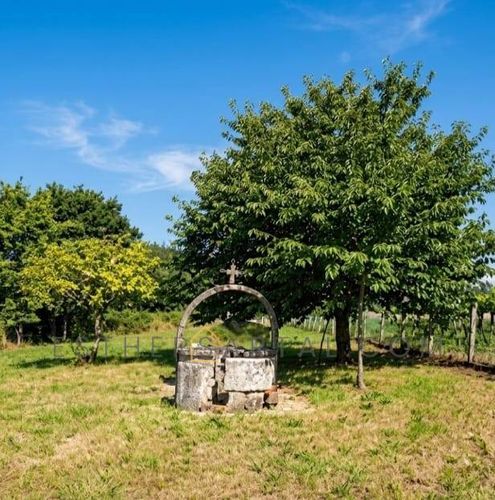 Cabaña con finca (6/6)