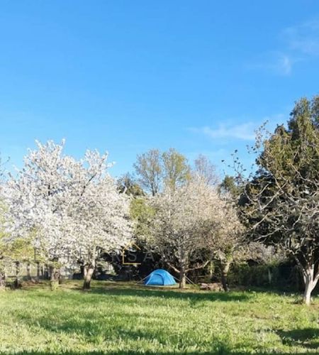 Cabaña con finca (4/6)